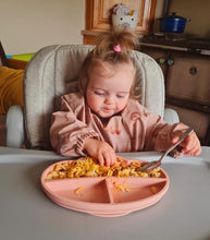 Load image into Gallery viewer, Long Sleeve Weaning Bib &amp; Matching Bag &quot;Safari Rose&quot;
