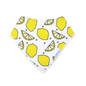 Organic Baby Bandana Dribble Bibs "Simply the Zest"